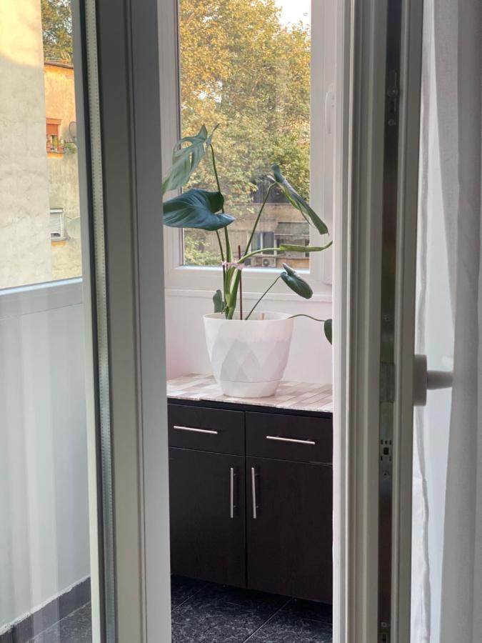 Central Welcoming Apartment In Τίρανα Εξωτερικό φωτογραφία