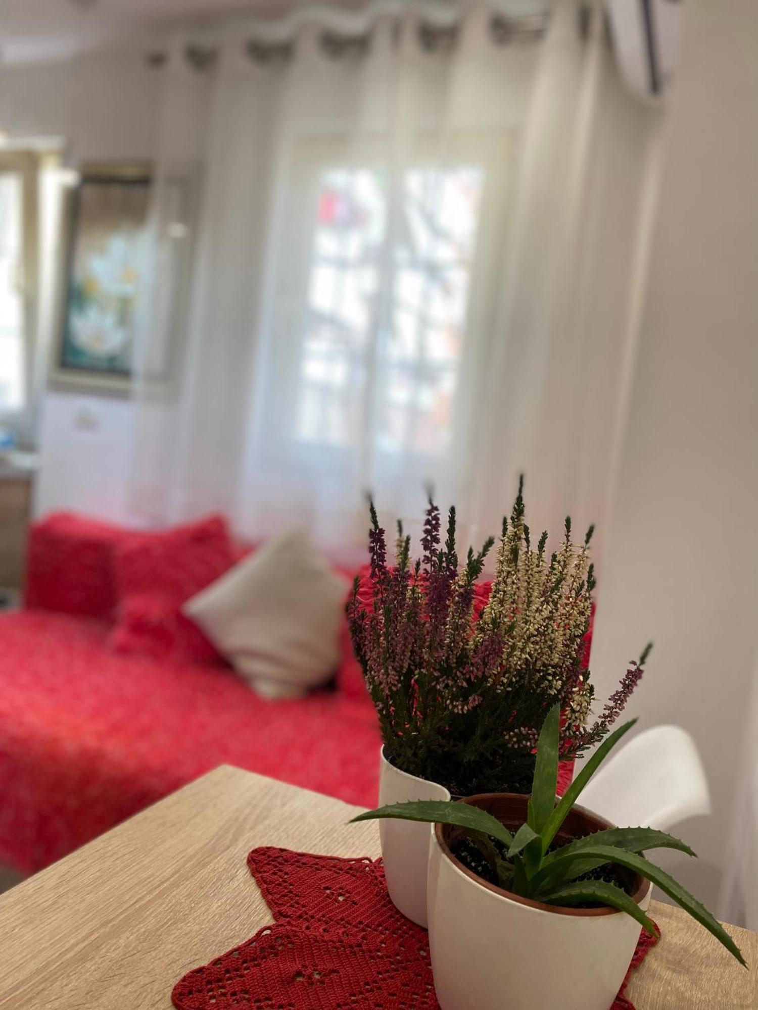 Central Welcoming Apartment In Τίρανα Εξωτερικό φωτογραφία